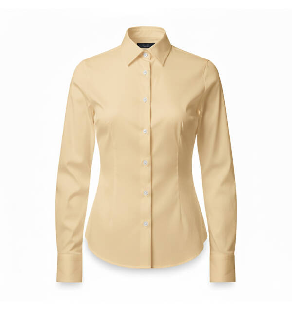 Camisa Formal Manga Larga Paja